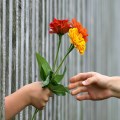 Eco Chaplaincy training - is God calling you?