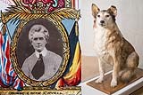 Edith Cavell exhibition at Norwich Cathedral
