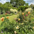 Charity open afternoons at the Bishop's Garden